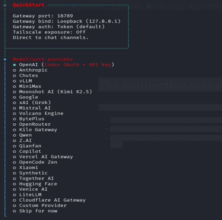 Pulling the Docker image